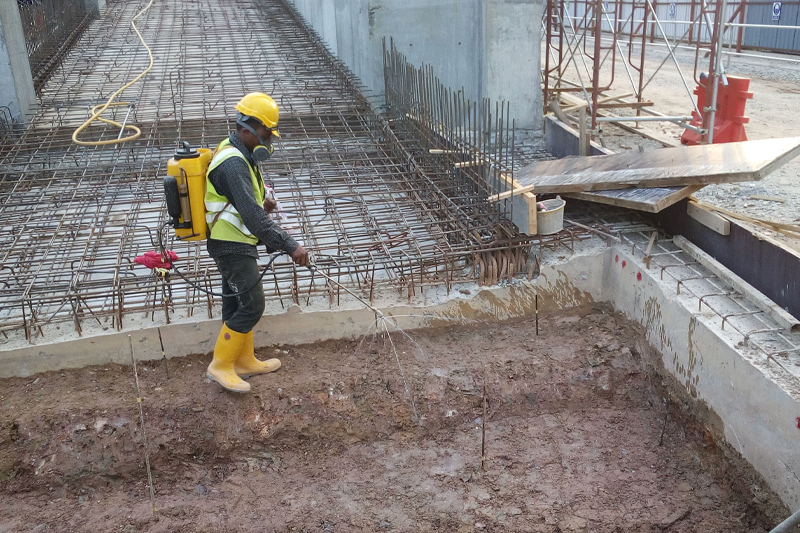 Anti termite Treatment